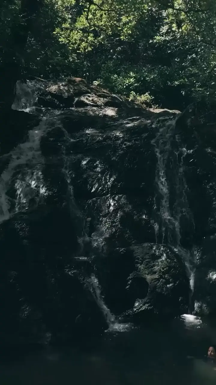 Agua cayendo por una pared de rocas entre vegetación oscura.