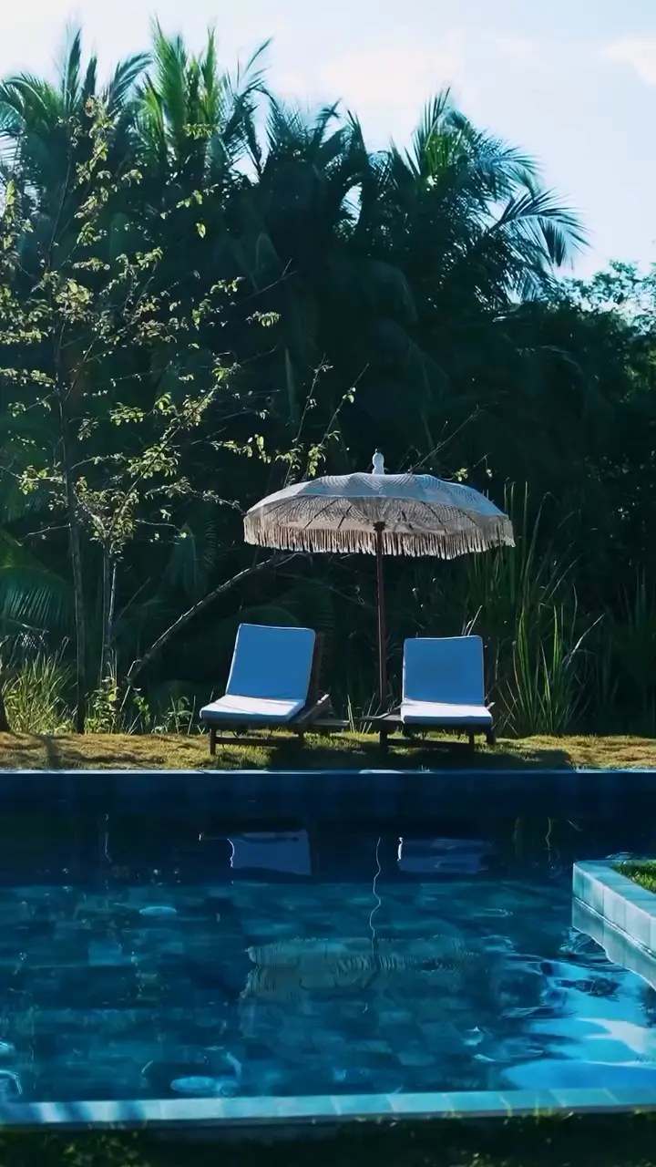 Dos camastros azules y una sombrilla junto a la piscina, rodeados de palmeras.