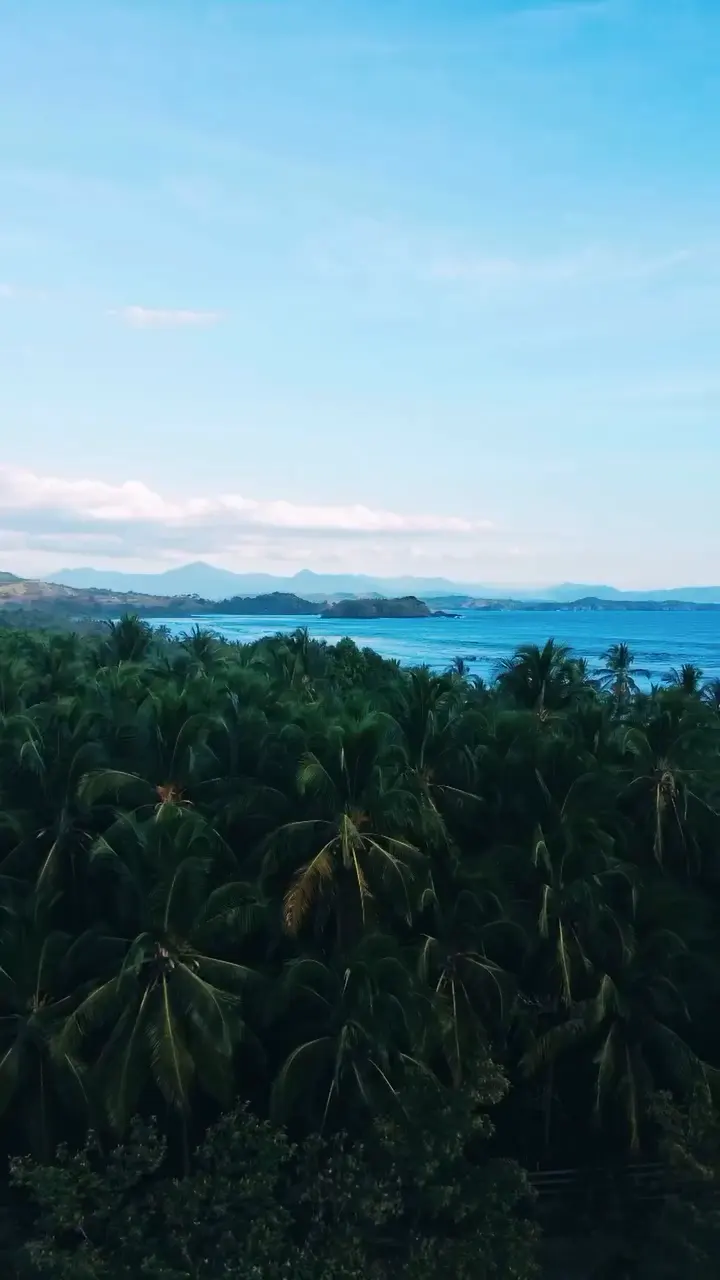Palmeras y selva frente al mar, con islas en el horizonte.